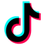 TikTok Logo